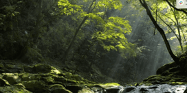 Dawex Awarded as Technology Pioneer by World Economic Forum