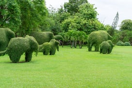 Data exchange : Dawex se réjouit d’accueillir l’éléphant Amazon dans son jardin