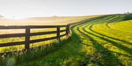 Une machine de guerre pour l'agriculture française